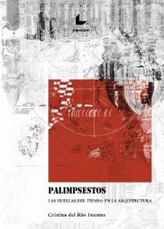 Kniha PALIMPSESTOS DEL RIO FUENTES