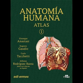 Könyv VOL I ANATOMIA HUMANA ATLAS INTERACTIVO MULTIMEDIA, SEGUN ANASTASI