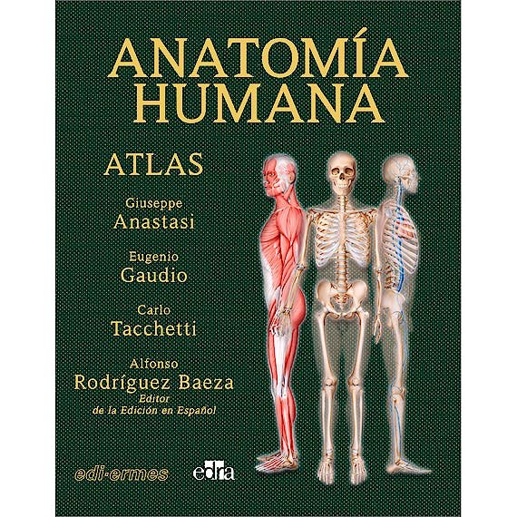 Книга ANATOMIA HUMANA ATLAS INTERACTIVO MULTIMEDIA. 2ªED ANASTASI