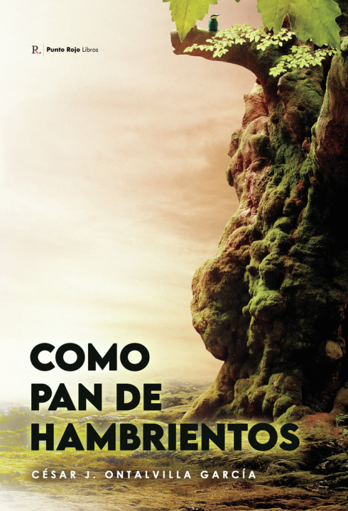 Boek Como Pan de Hambrientos Ontalvilla García
