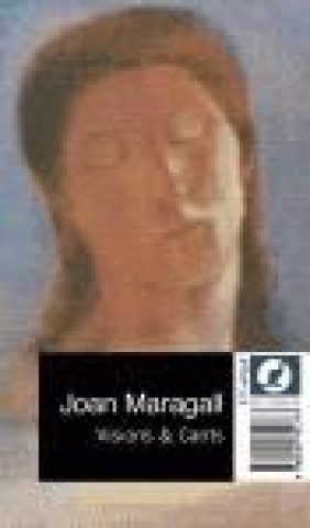 Knjiga Visions 6.73