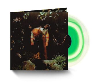 Könyv Worm Food, 1 Schallplatte (Limited Green Vinyl Edition) Cavetown