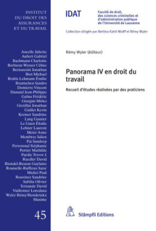 Kniha Panorama IV en droit du travail Rémy Wyler