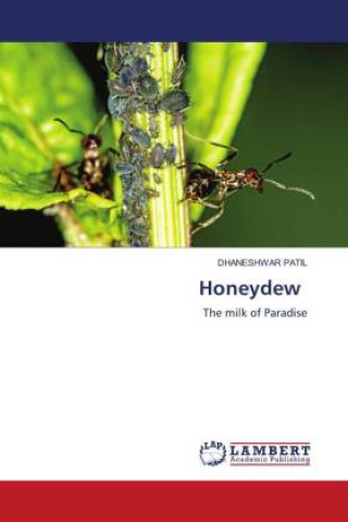 Knjiga Honeydew DHANESHWAR PATIL
