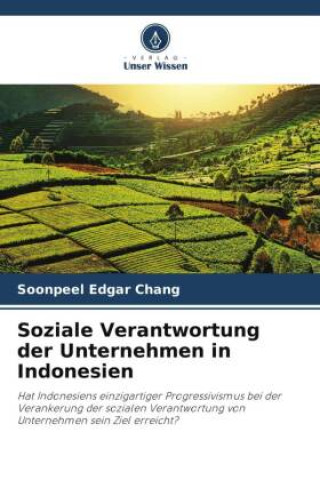 Książka Soziale Verantwortung der Unternehmen in Indonesien 