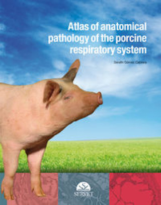 Carte Atlas of anatomical pathology of the porcine respiratory system GOMEZ CABRERA