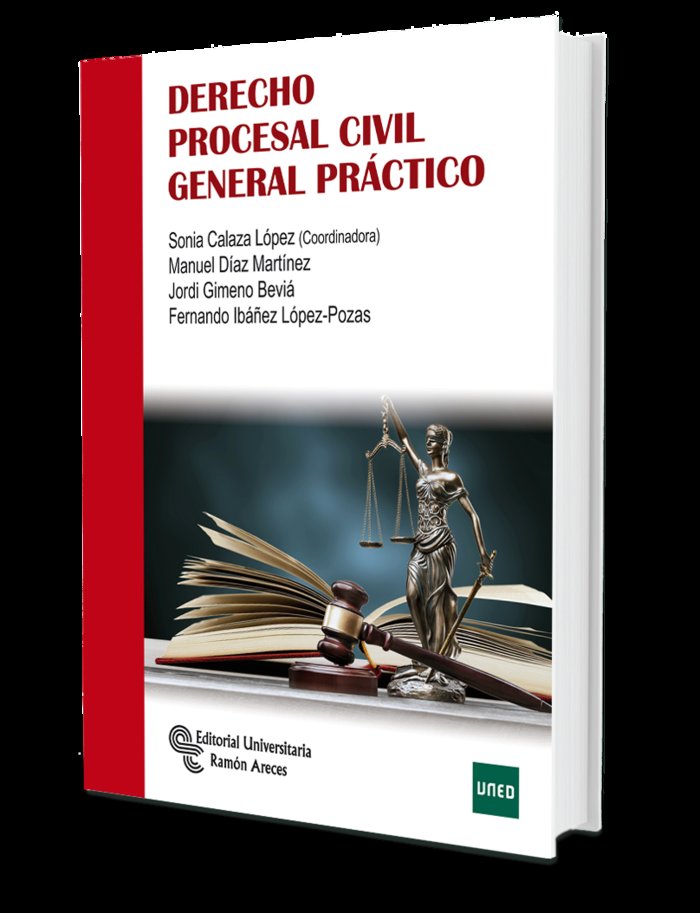 Kniha DERECHO PROCESAL CIVIL GENERAL PRÁCTICO Calaza López