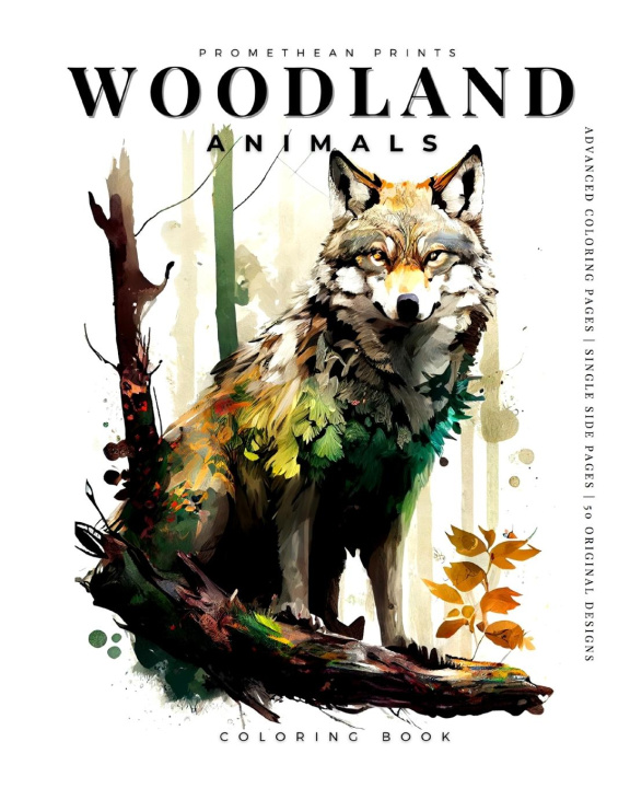 Buch Woodland Animals (coloring Book) 