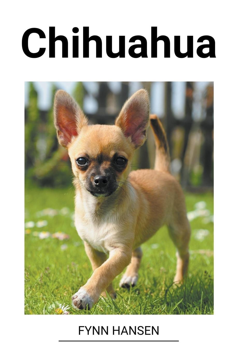 Kniha Chihuahua 
