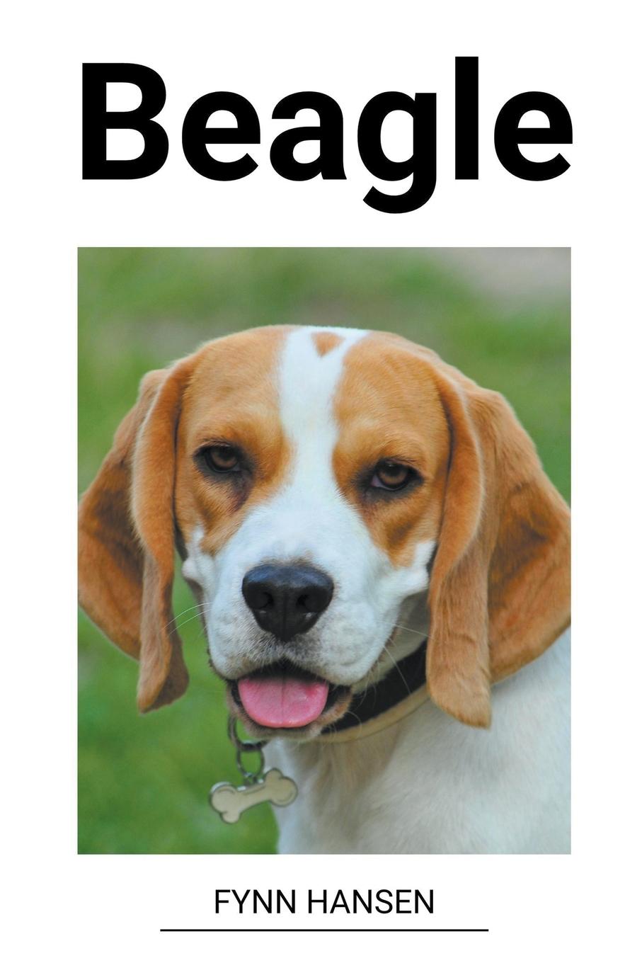 Kniha Beagle 