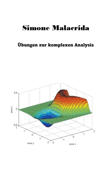 Książka Übungen zur komplexen Analysis 