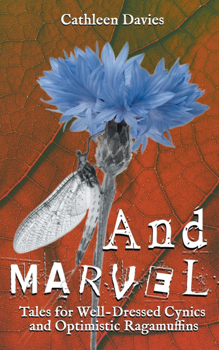Knjiga And Marvel Cathleen Davies