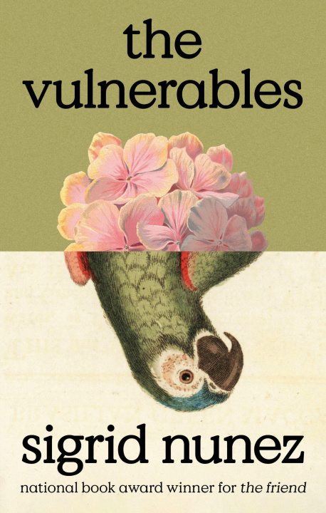 Buch Vulnerables Sigrid Nunez