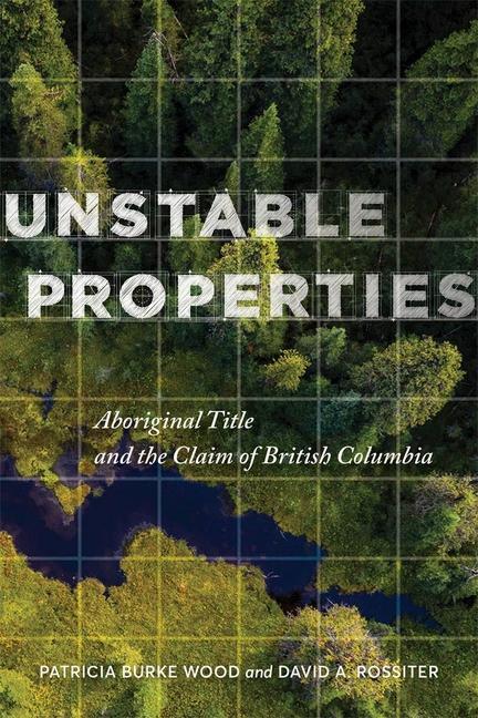 Buch Unstable Properties Patricia Burke Wood