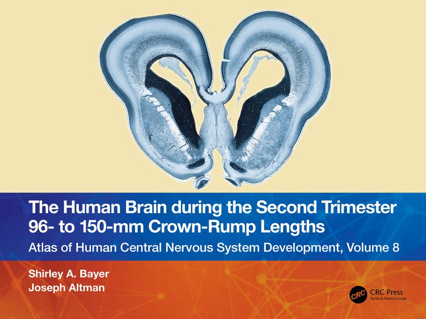 Könyv Human Brain during the Second Trimester 96- to 150-mm Crown-Rump Lengths Shirley A. Bayer