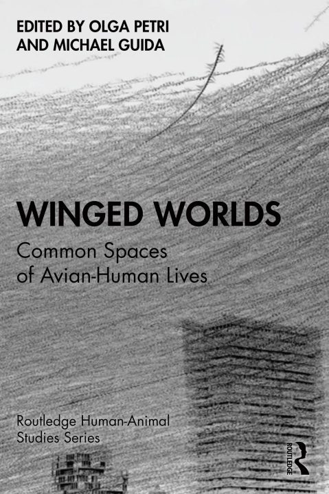 Book Winged Worlds Olga Petri