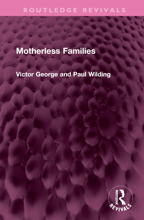 Kniha Motherless Families Victor George