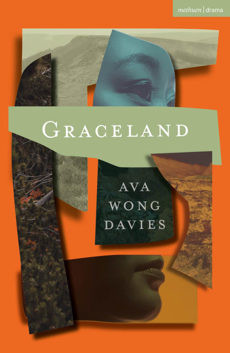 Knjiga Graceland Ava (Author) Wong Davies