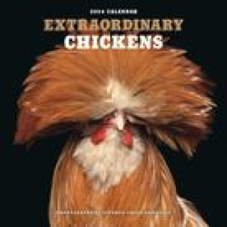 Kalendarz/Pamiętnik Extraordinary Chickens 2024 Wall Calendar Stephen Green-Armytage