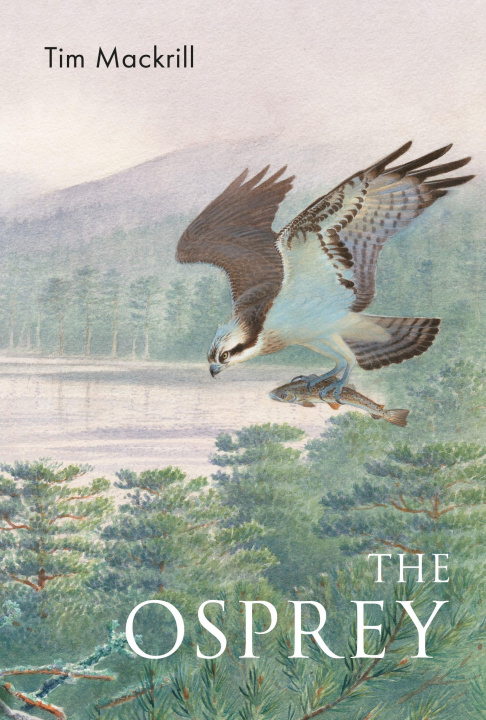 Βιβλίο Osprey Tim (Author) Mackrill