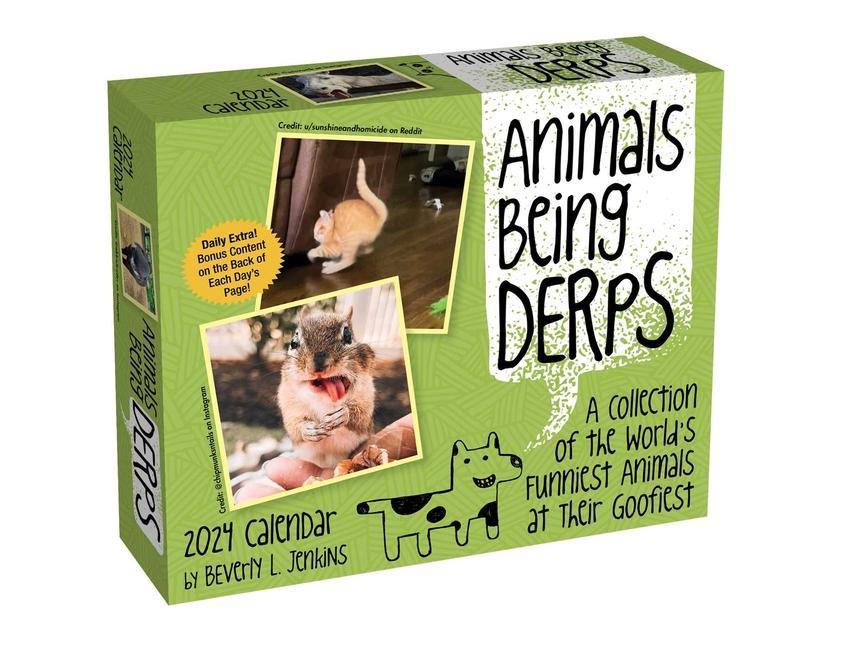 Kalendár/Diár Animals Being Derps 2024 Day-to-Day Calendar Beverly L. Jenkins