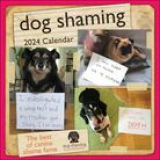 Naptár/Határidőnapló Dog Shaming 2024 Wall Calendar Pascale Lemire