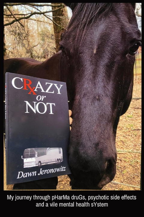 Kniha CRAZY or NOT Dawn Jeronowitz