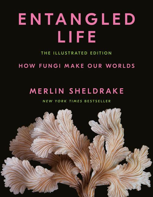 Knjiga Entangled Life: Illustrated Edition Steve Axford