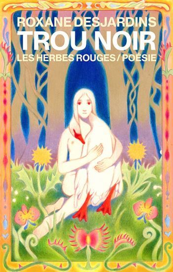 Book TROU NOIR DESJARDINS ROXANNE