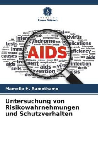 Book Untersuchung von Risikowahrnehmungen und Schutzverhalten 