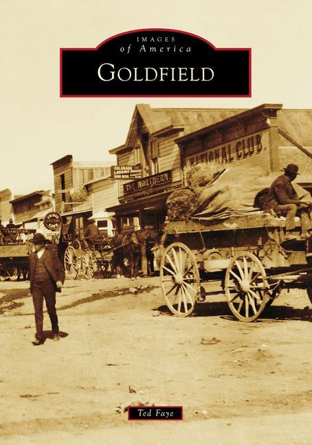 Knjiga Goldfield Faye