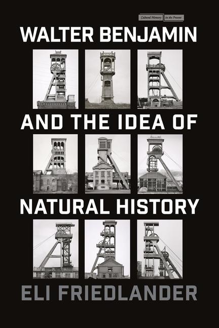Книга Walter Benjamin and the Idea of Natural History 