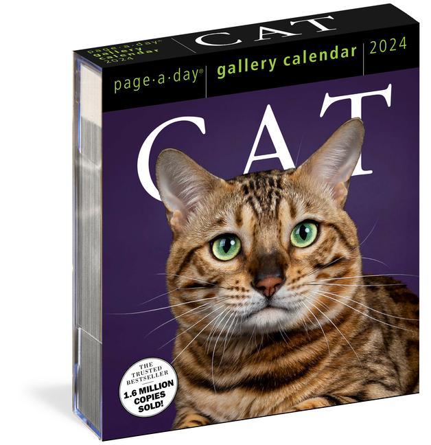 Календар/тефтер Cat Page-A-Day Gallery Calendar 2024 