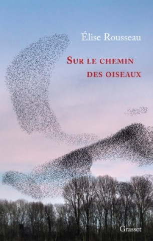 Knjiga Sur le chemin des oiseaux Élise Rousseau