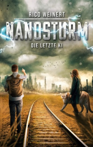 Buch Nanosturm Rico Weinert