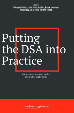 Knjiga Putting the DSA into Practice Ilaria Buri