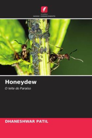 Knjiga Honeydew DHANESHWAR PATIL