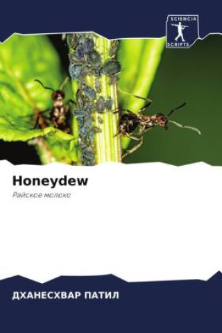 Knjiga Honeydew DHANESHVAR PATIL