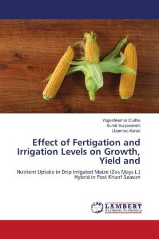 Könyv Effect of Fertigation and Irrigation Levels on Growth, Yield and Sumit Suryavanshi