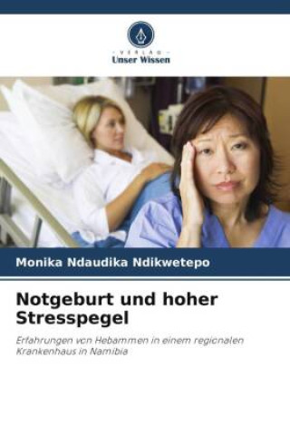 Boek Notgeburt und hoher Stresspegel Monika Ndaudika Ndikwetepo