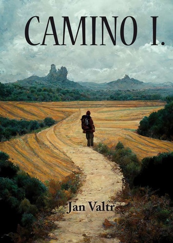 Kniha Camino 1. Jan Valtr