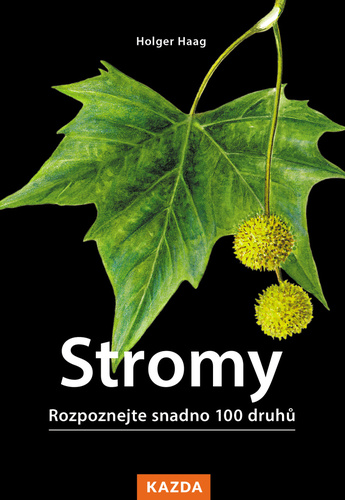 Kniha Stromy - Rozpoznejte snadno 100 druhů Holger Haag
