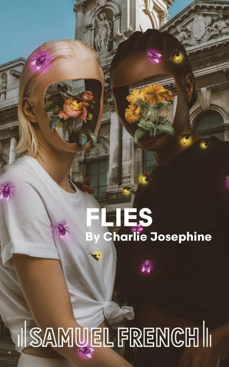 Knjiga Flies Charlie Josephine