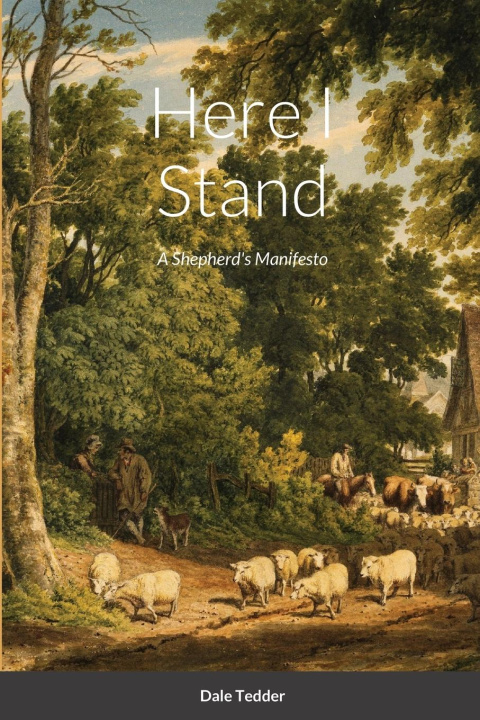 Book Here I Stand Dale Tedder