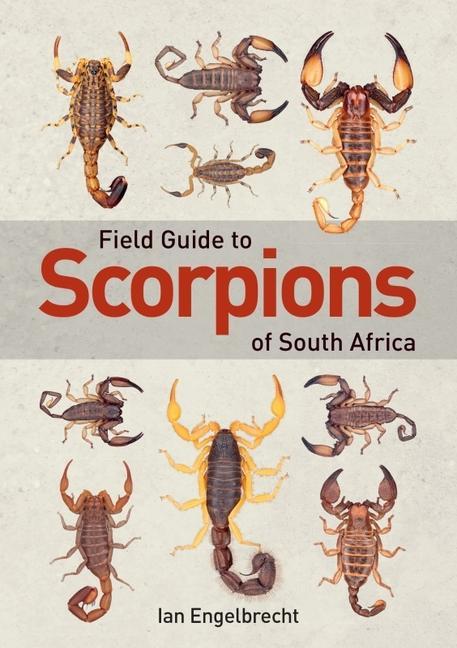 Carte Field Guide to Scorpions of South Africa 