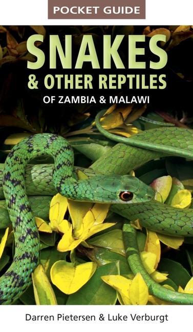 Книга Pocket Guide to Snakes & Other Reptiles of Zambia and Malawi Luke Verburgt