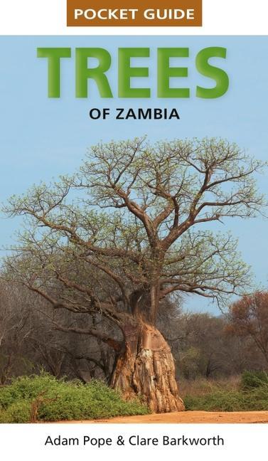 Książka Pocket Guide to Trees of Zambia and Malawi Pope Adam