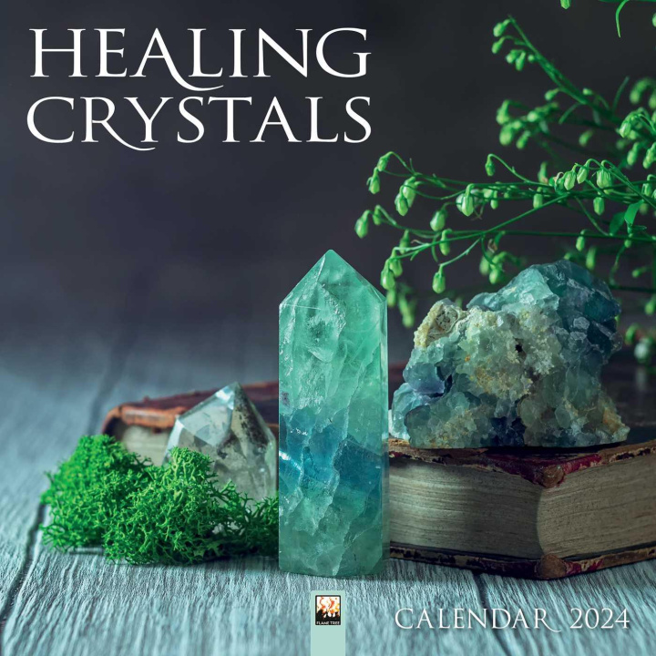 Kalendář/Diář Healing Crystals Wall Calendar 2024 (Art Calendar) 