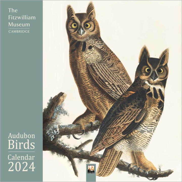 Kalendár/Diár Fitzwilliam Museum: Audubon Birds Wall Calendar 2024 (Art Calendar) 