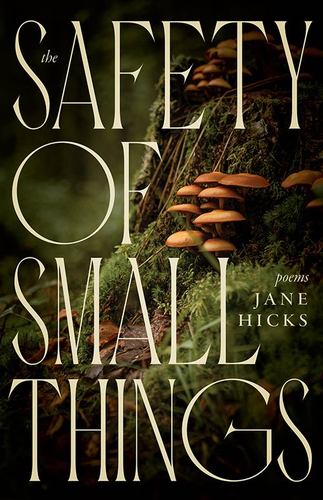 Libro The Safety of Small Things: Poems 